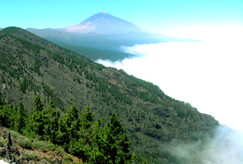 tenerife school activities